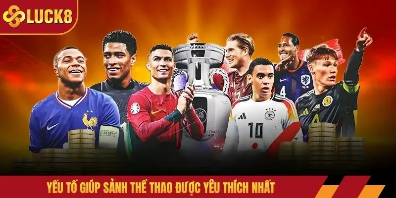 Yếu tố giúp sảnh thể thao được yêu thích nhất